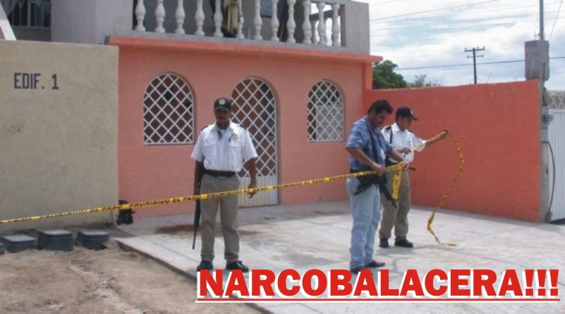 narco1.jpg